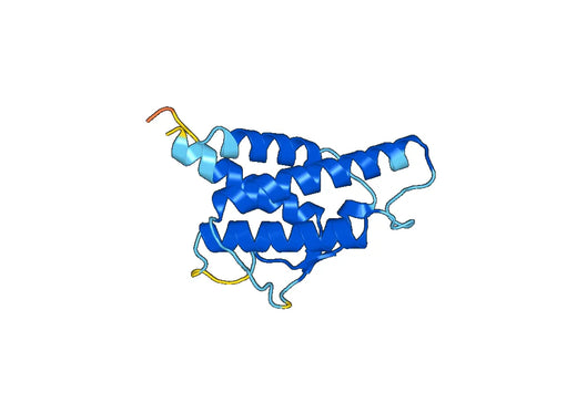 Anti-IL4 Polyclonal antibody