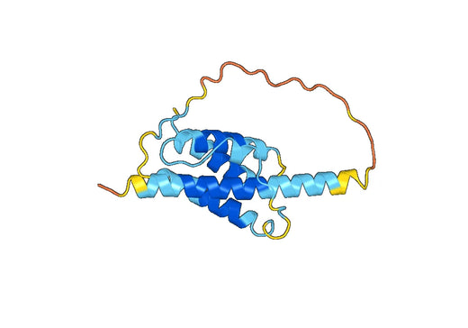 Anti-IL7 Polyclonal antibody