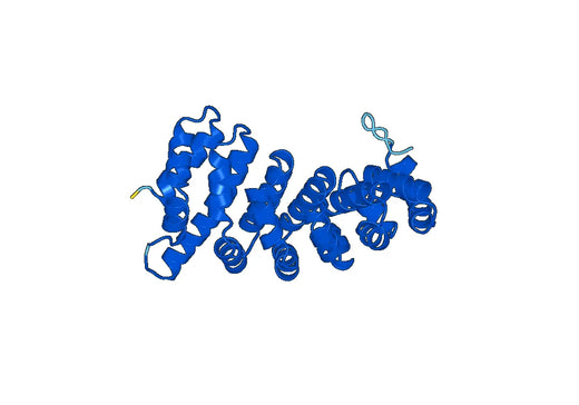 Anti-KPNA1 Polyclonal antibody