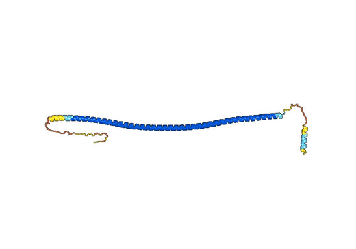 Anti-KRT15 Polyclonal antibody