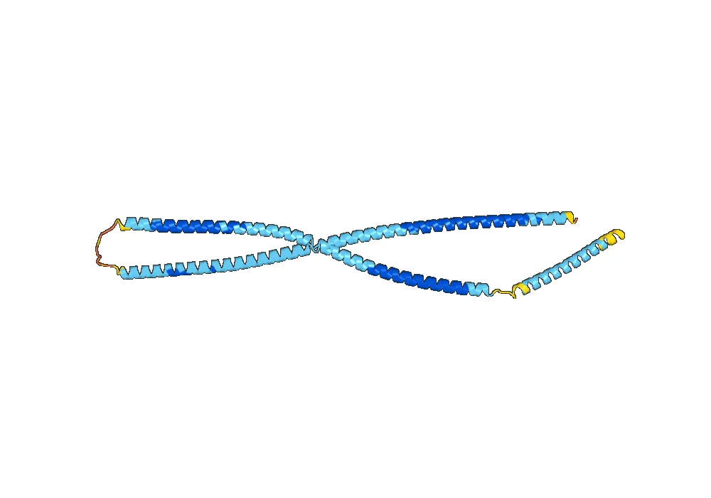 Anti-KRT7 Polyclonal antibody