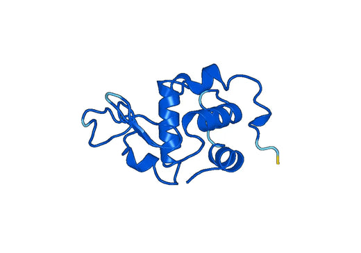 Anti-LALBA Polyclonal antibody