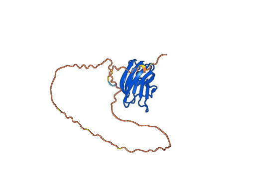 Anti-LGALS3 Polyclonal antibody