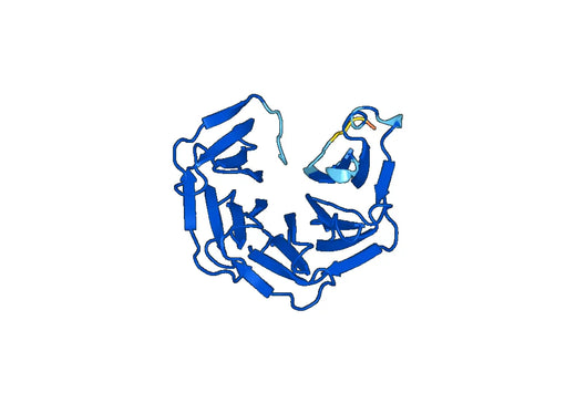 Anti-LRP8 Polyclonal antibody