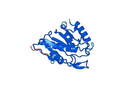 Anti-LYPLA2 Polyclonal antibody