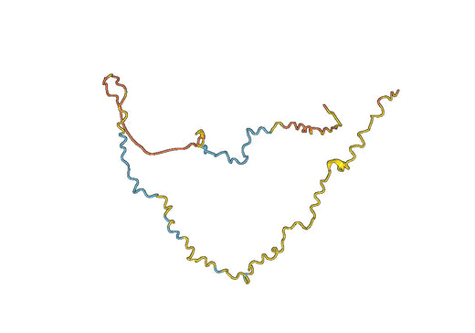 Anti-MAP4 Polyclonal antibody