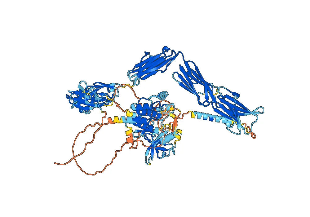 Anti-Mouse CD115/CSF1R Antibody (AFS98)