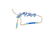 Anti-Mouse CD137/4-1BB/TNFRSF9 Antibody (3H3)