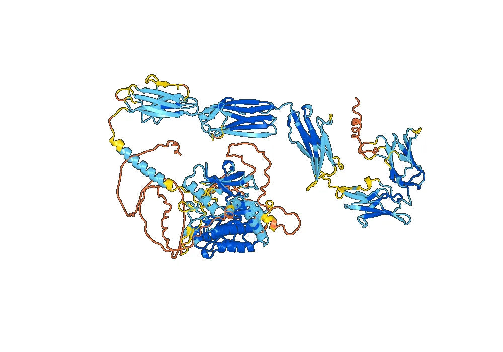 Anti-Mouse CD140a/PDGFRA Antibody (2.451.1.1b#)