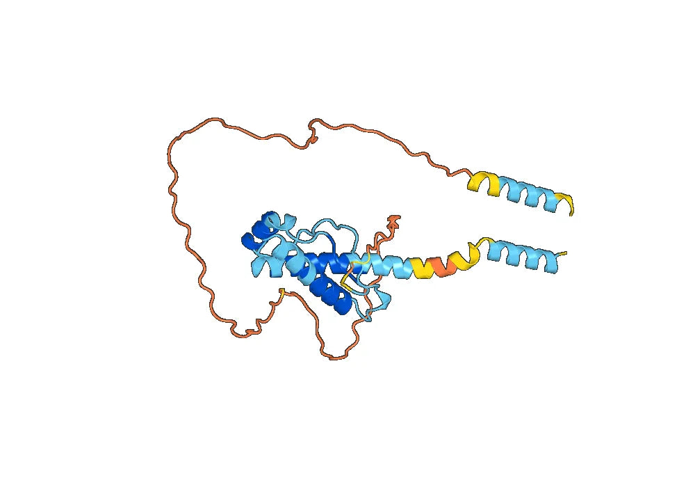 Anti-Mouse CD230 Antibody (6H10)