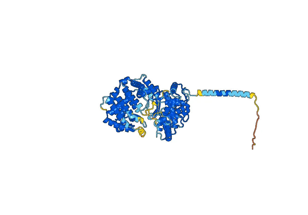 Anti-Mouse CD238/KEL Antibody (MIMA-8)