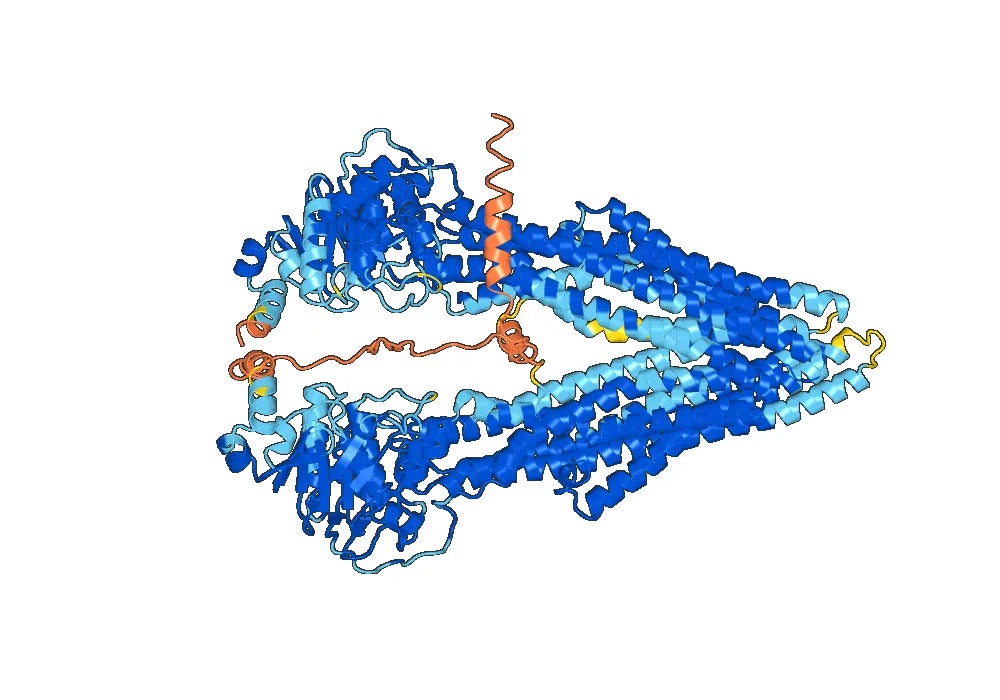 Anti-Mouse CD243/ABCB1 Antibody (SAA0482)