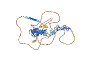 Anti-Mouse CD248 Antibody (G78)