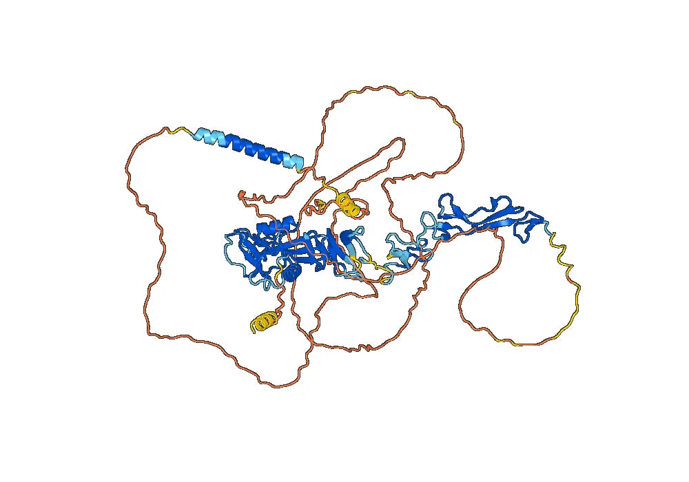 Anti-Mouse CD248 Antibody (G78)