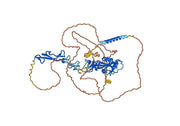Anti-Mouse CD248 Antibody
