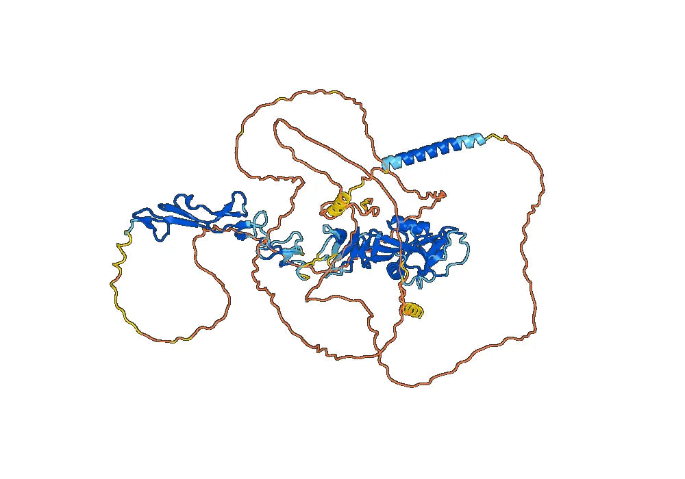 Anti-Mouse CD248 Antibody