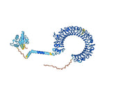 Anti-Mouse CD283/TLR3 Antibody (132-E5)