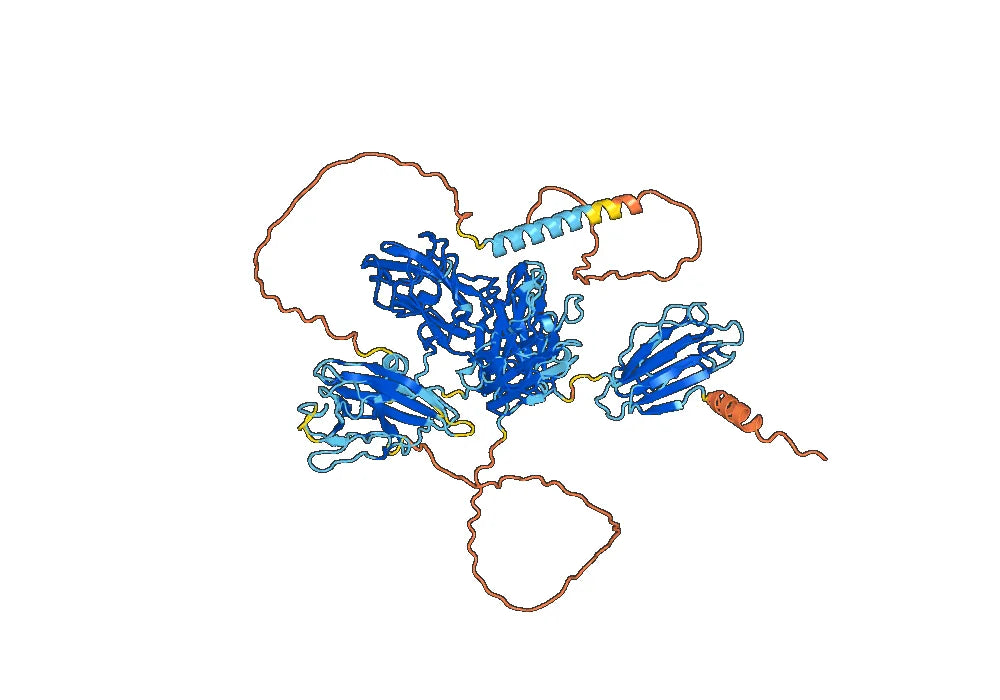 Anti-Mouse CD304/NRP1 Antibody (YW64.3)