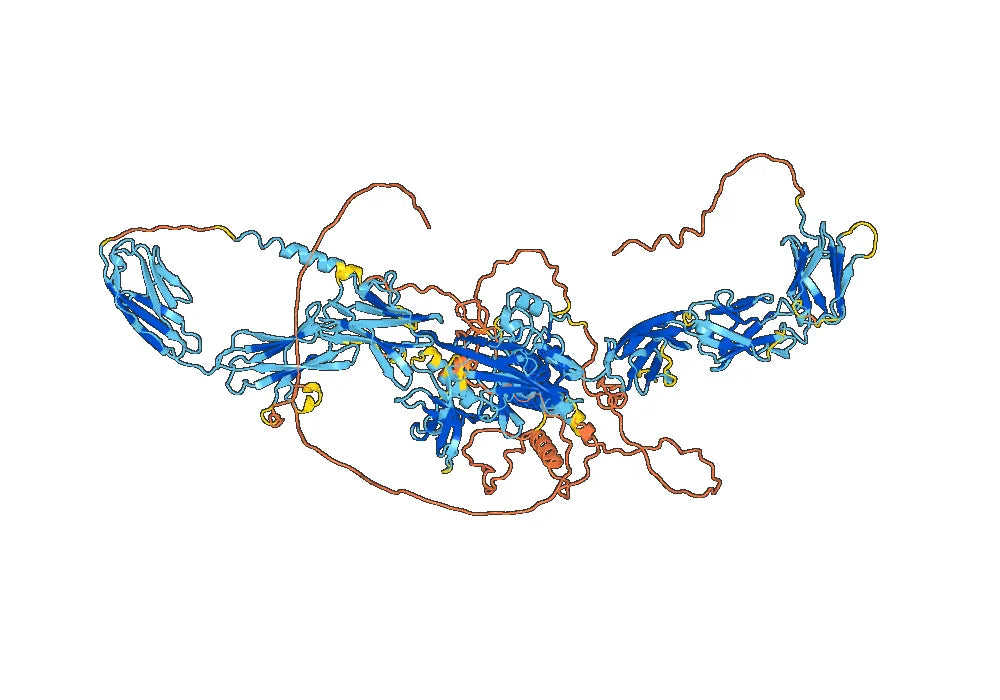 Anti-Mouse CD309/KDR/VEGFR-2 Antibody (DC101)