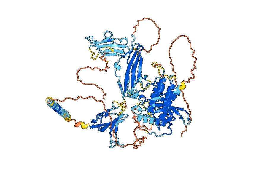 Anti-Mouse CD334/FGFR4 Antibody (U3-1784)