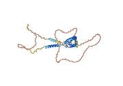 Anti-Mouse CD34 Antibody (SAA0407)