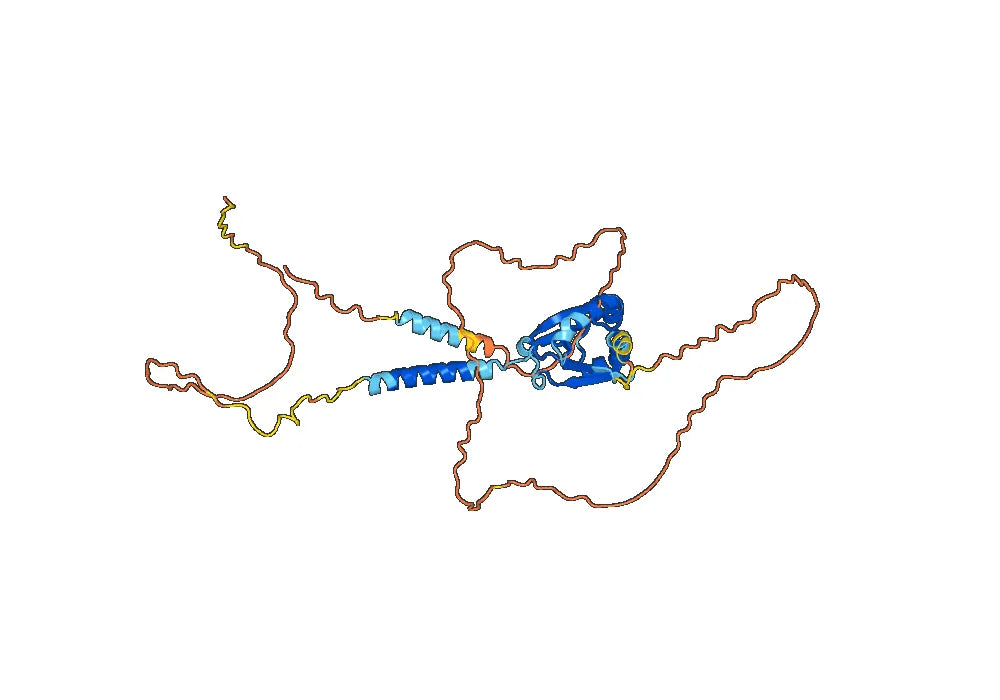 Anti-Mouse CD34 Antibody (SAA0407)