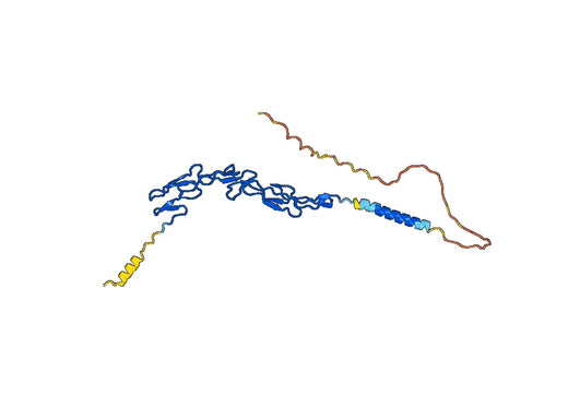 Anti-Mouse CD40/TNFRSF5 Antibody (FGK45)