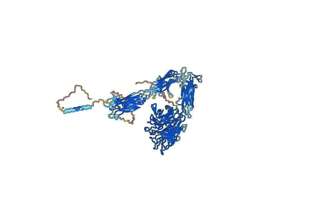 Anti-Mouse CD51/ITGAV & ITGB6 Antibody (7.1G10)