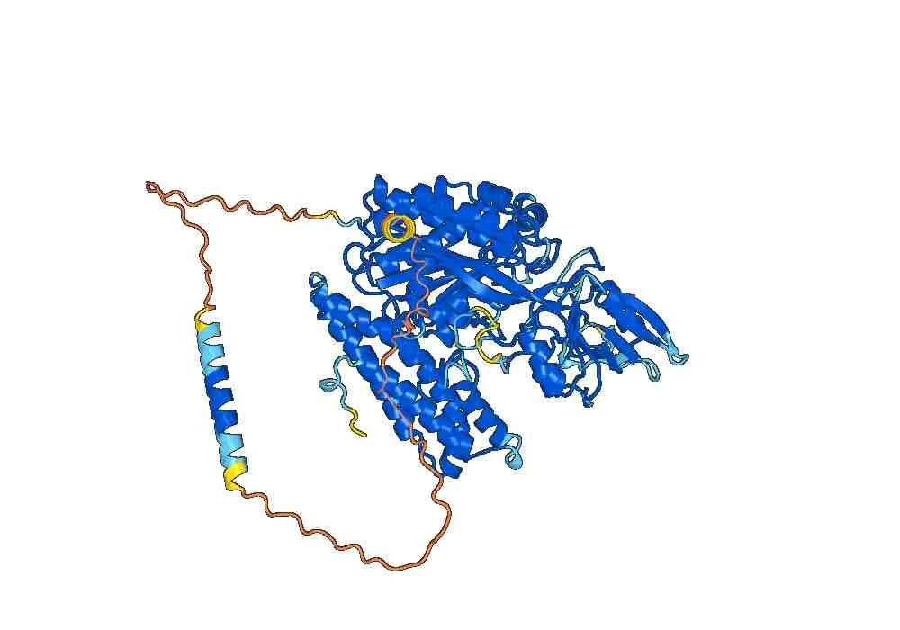 Anti-Mouse CD71/TFRC Antibody (8D3)