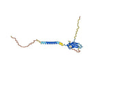 Anti-Mouse CD83 Antibody (60B10)