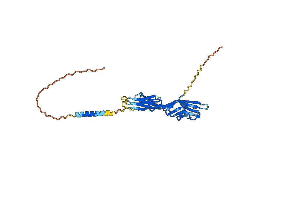 Anti-Mouse CD86/B7-2 Antibody (GL1)