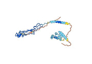 Anti-Mouse CD95/FAS Antibody (HFE7A)