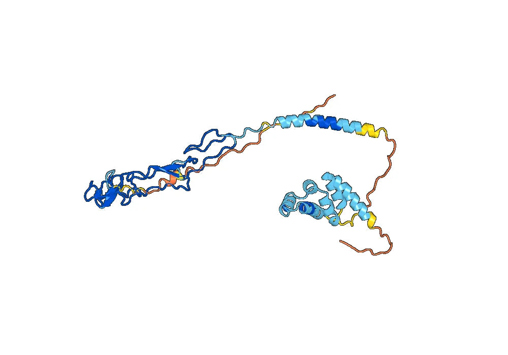 Anti-Mouse CD95/FAS Antibody (HFE7A)
