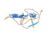 Anti-Mouse CD96 Antibody (SAA0311)