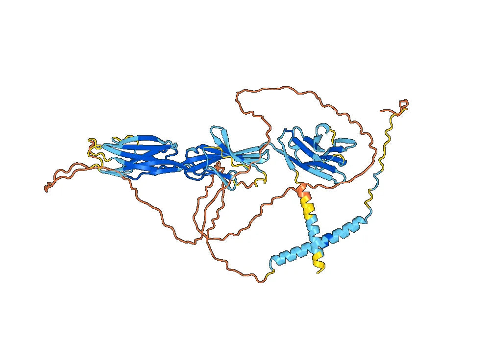 Anti-Mouse CD96 Antibody (SAA0311)