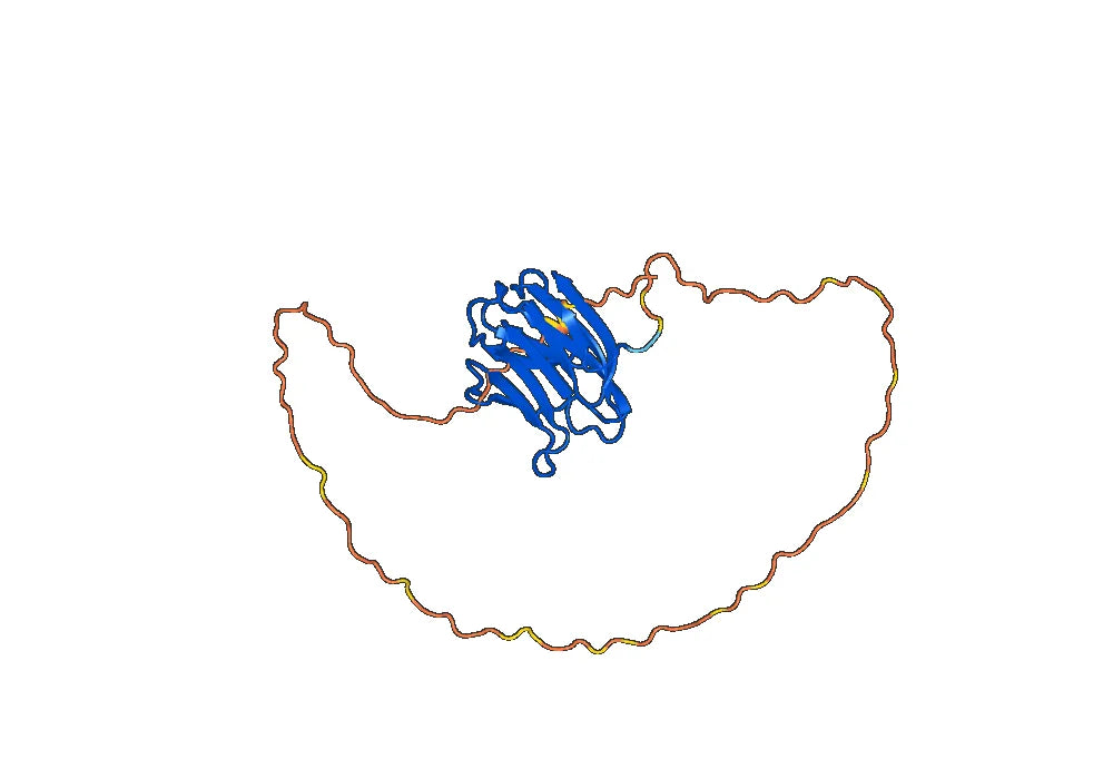Anti-Mouse LGALS3 Antibody (P3)
