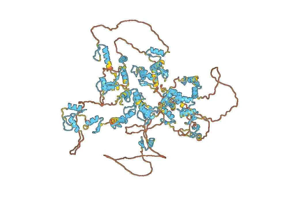 Anti-Mouse ZNF423 Antibody (N328B/37R)