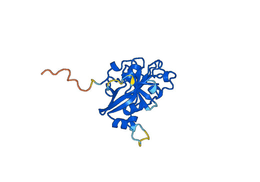 Anti-MPG Polyclonal antibody