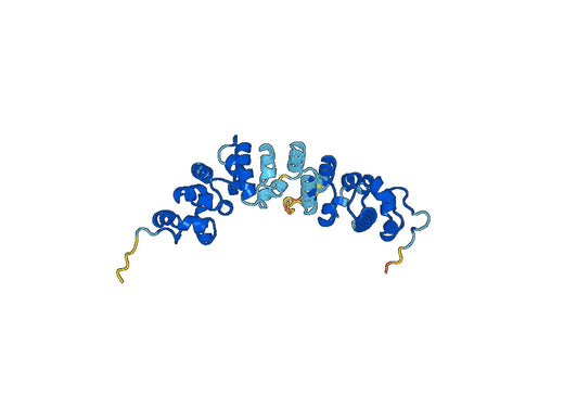 Anti-MSLN Polyclonal antibody