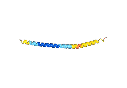 Anti-Ncov-E polyclonal antibody