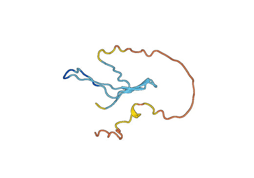 Anti-NDNF Polyclonal antibody