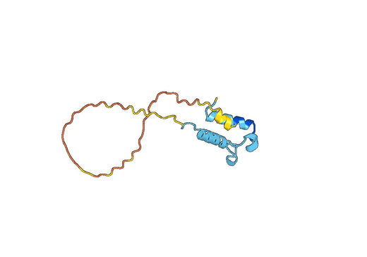 Anti-NDUFAB1 Polyclonal antibody