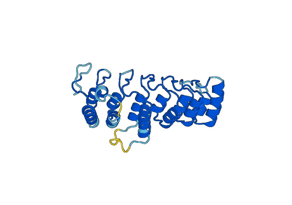 Anti-NFKBID Polyclonal antibody