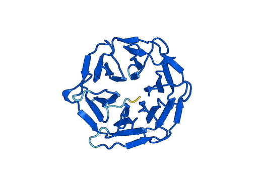 Anti-NID2 Polyclonal antibody