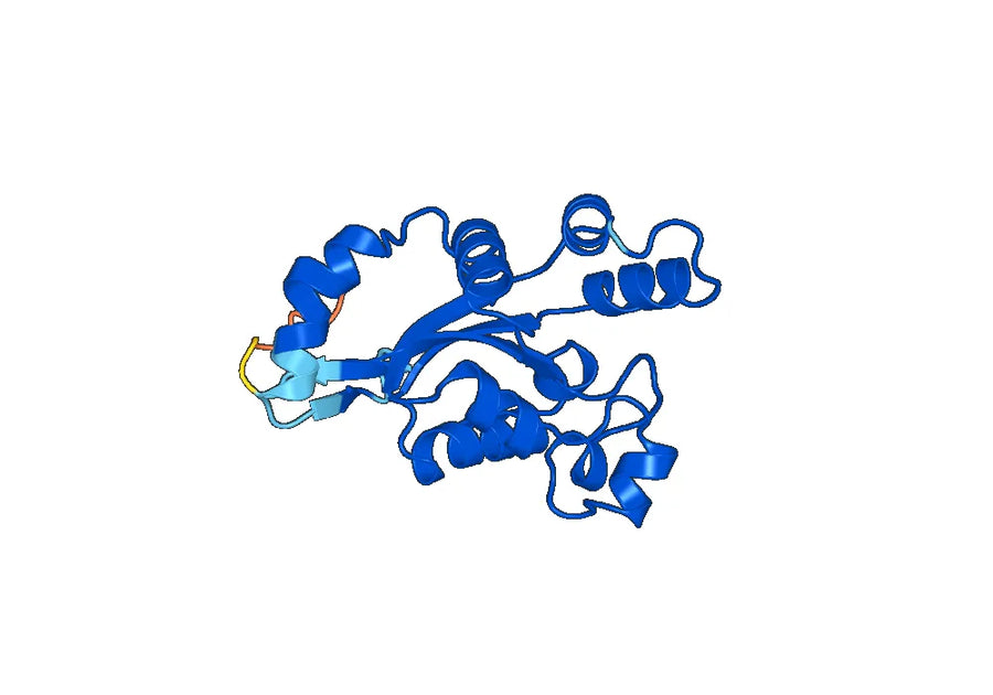 Anti-NME6 Polyclonal antibody