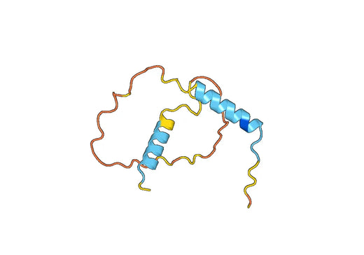 Anti-NPPA Polyclonal antibody