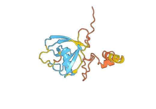 Anti-NSP1 polyclonal antibody