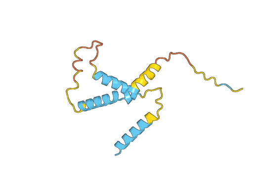Anti-NTS Polyclonal antibody
