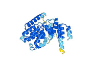 Anti-NUP85 Polyclonal antibody