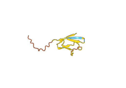 Anti-ORF7a protein polyclonal antibody